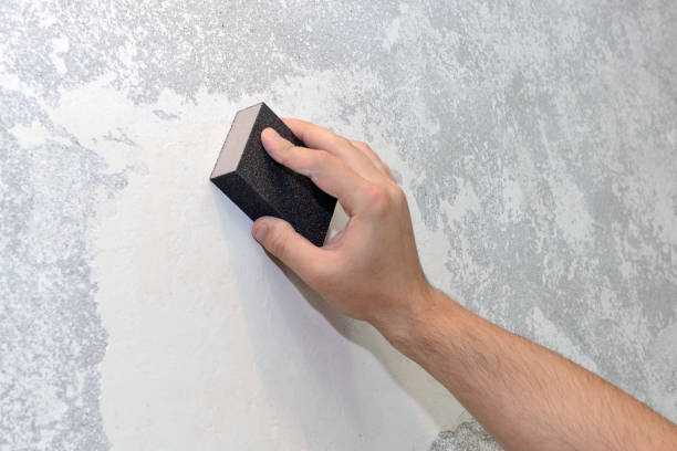 Best Mold Damage Restoration  in Lorenz Park, NY