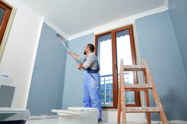 Trusted Lorenz Park, NY Mold Removal Experts
