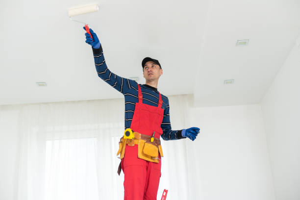 Best Mold Remediation for Healthcare Facilities  in Lorenz Park, NY