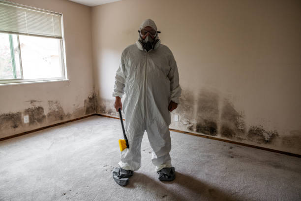 Best Residential Mold Inspection & Testing  in Lorenz Park, NY